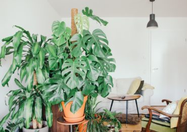 Photo by Brina Blum on Unsplash