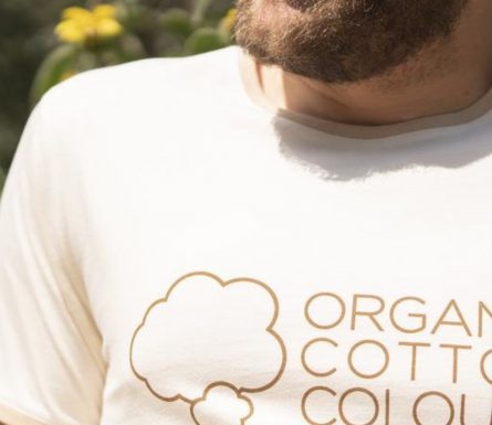 Organic Cotton Colours