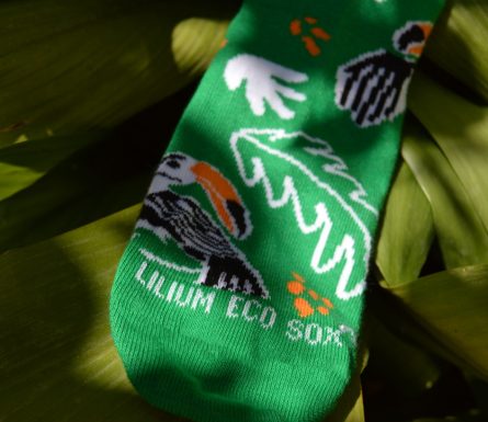 Lilium Eco Sox